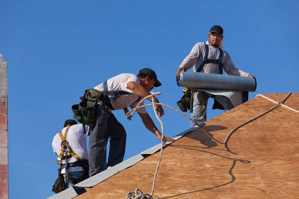 Best Roof Inspection Near Me  in Robersonville, NC