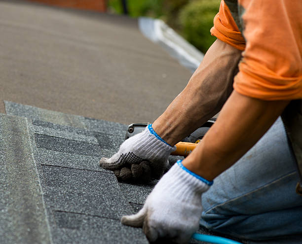 Best Emergency Roof Repair  in Robersonville, NC